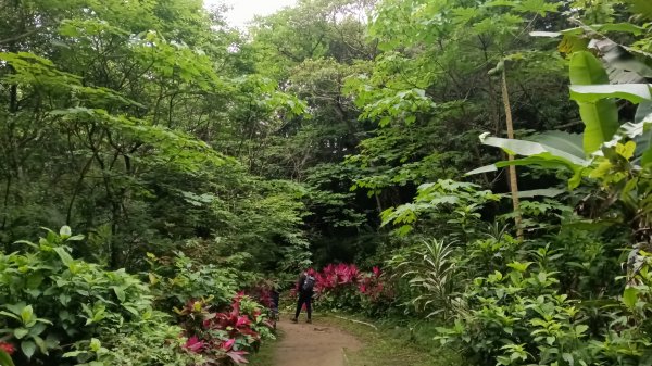 汐止區翠湖步道-學頭坡步道-老鷲尖-內溝山步道-翠湖P字走3051224