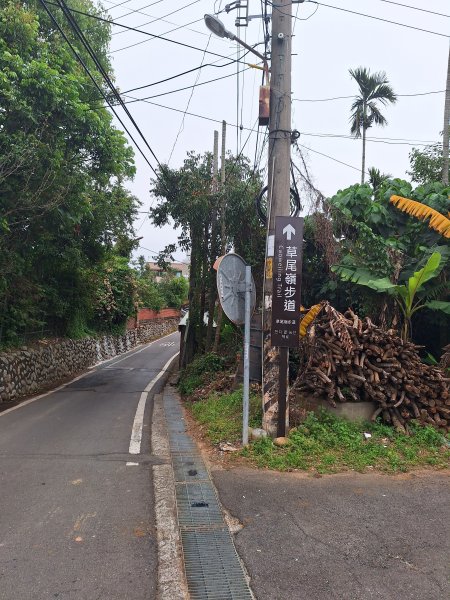 草尾嶺步道賞血藤花202503292749668