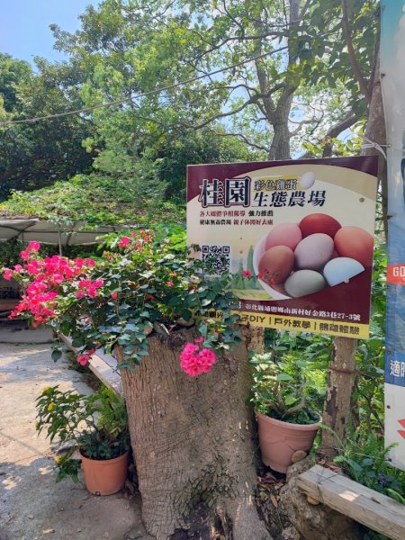 藤山步道-(彰化)臺灣百大必訪步道2471105