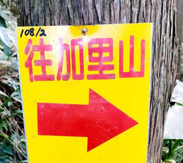 【中級山】台版富士山，加里山2741951