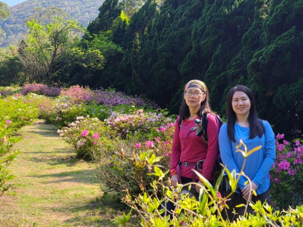 陽明山國家公園202503232743285