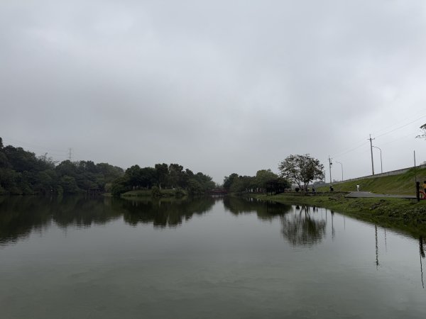 [樟之細路_第一大段RSA01] 2026_0329 三坑自然生態公園3026799