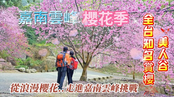 【嘉南雲峰】石壁櫻花季美人谷登山紀錄