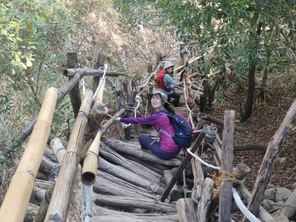 1110116 大坑四，五，三之一號步道O型一圈1584034