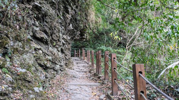 瓦拉米步道,富里花海,池上大池2467051