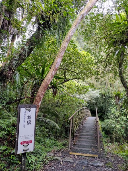 九寮溪步道1319251