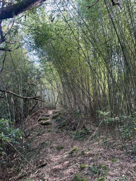 銀河洞越嶺貓空-新高麗坑山-銀獅縱走-猴山岳群峰+三條魚縱走2701007