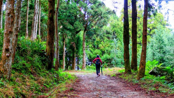 油羅山(一上三下)2959192