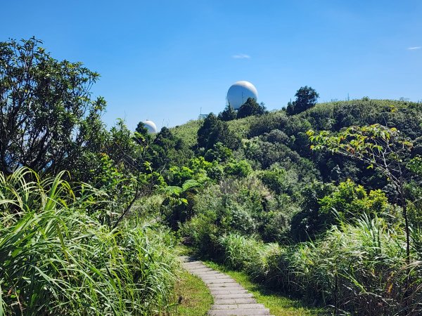 小百岳No.10⛰五分山2883158