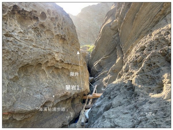 鼻頭角秘境步道、鼻頭角山、鼻頭山 O型一圈2915795
