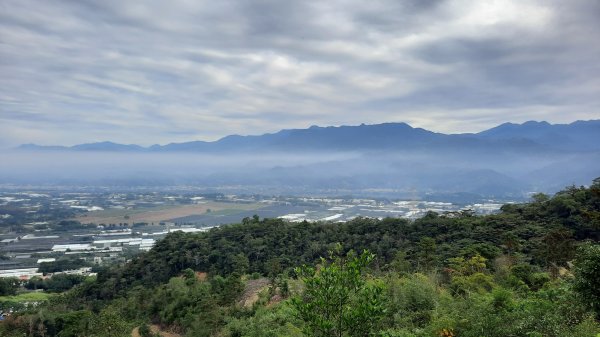 《台中》稜線巨龍｜大坑5號與5-1號步道上頭嵙山202111281529634