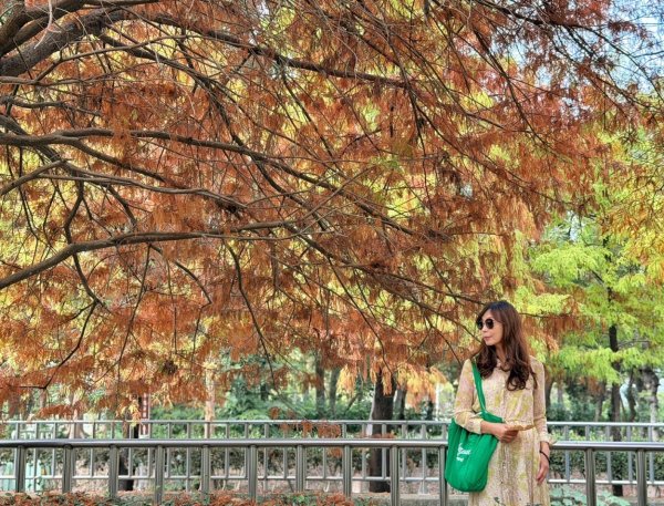 龍過脈森林步道2960924