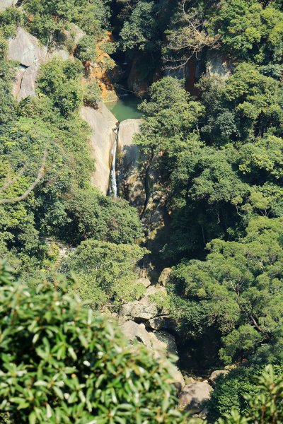 忠勇山。鯉魚山535908