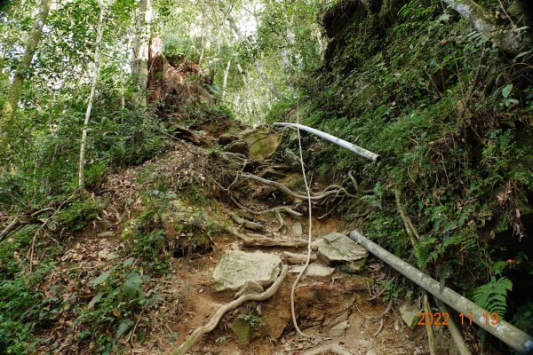 南投 信義 西巒大山1922266