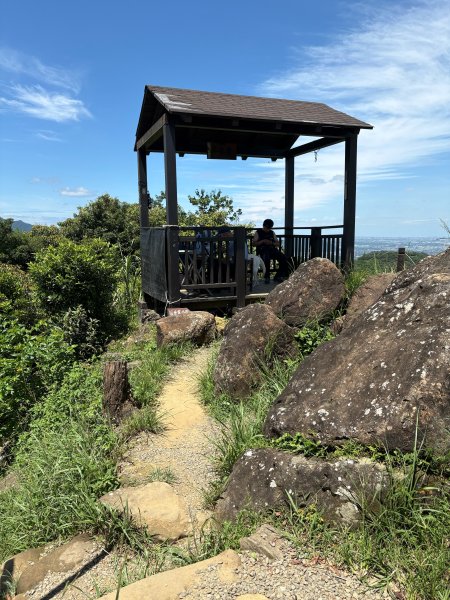 微笑山線：望月亭桐花段3088391