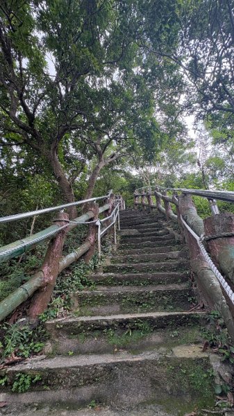 941（旗尾山2905667