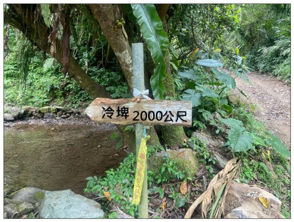 冷埤、粗坑山、血藤之旅3020370