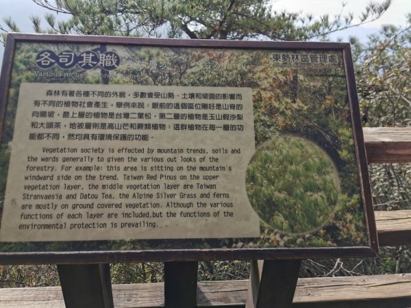 鳶嘴稍來 - 2020/2/8828514