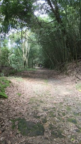 20250927 馬那邦山 - 上湖登山口2895886