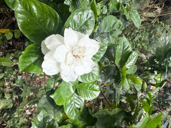 偷吃步之台北天際線第十段2777822