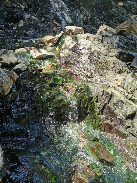 嘎拉賀野溪溫泉-大自然的SPA溫泉瀑布1043422