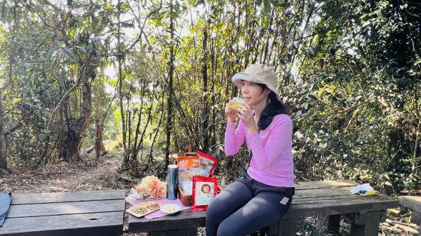 [台南東山]崁頭山步道|林蔭巨石木棧道視野遼闊的親子簡單輕鬆步道|優雅竹林圍繞三角點清幽野餐1603475