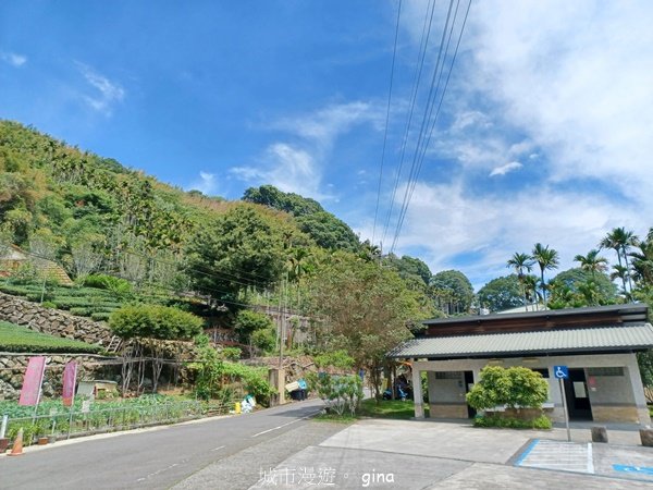 【嘉義梅山】雲霧裊裊似仙境。 瑞太古道 x大風埕觀日峰x油車寮步道2557789