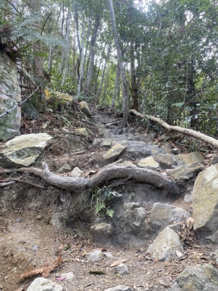 唐麻丹山3059707