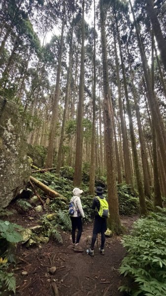 加里山 2025 12/282971682