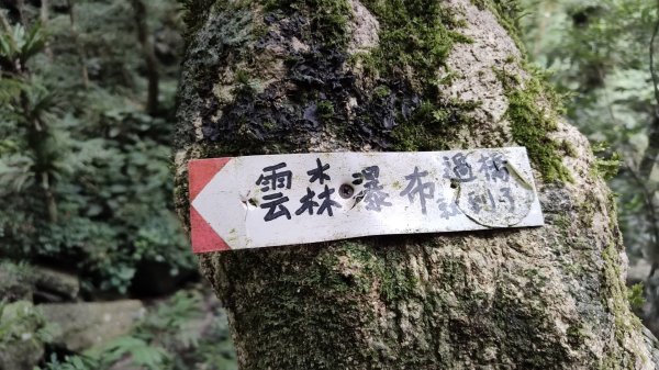 2025/7/5 雲森瀑布群2839214