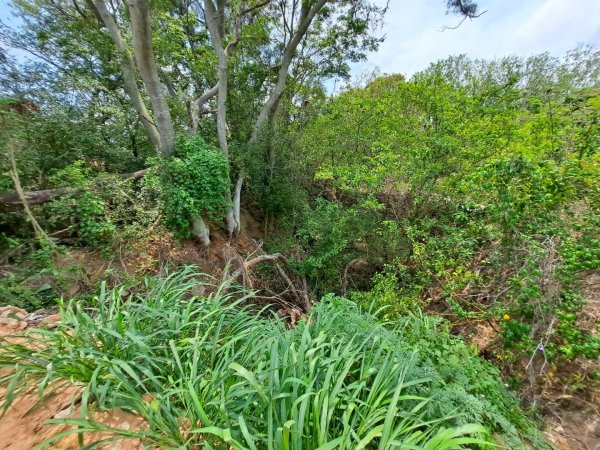 金門：后盤山金中師事件、蔡厝古道太武山2487819