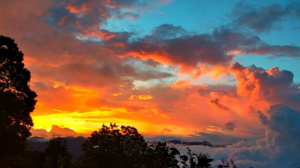 【阿里山私房景點】塔塔加夕陽下的彩霞691627