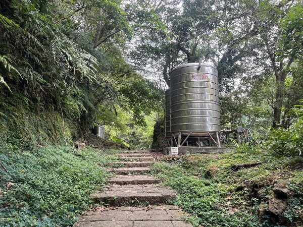 [微笑山線_ 第十段] 2025_0914 五分山系_菁桐煤礦段2889843