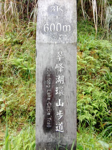 藏身於雲霧中的湖泊~翠峰湖466998