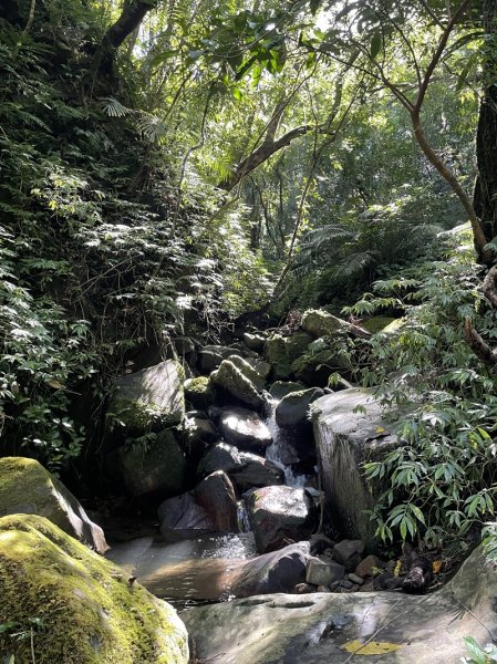 中坑古道西線(張家古厝)2899250