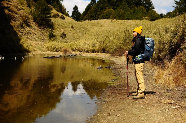 武法奈尾山天巒池872514