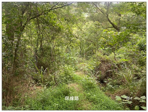 禁山 (苗栗/苑裡)2794890
