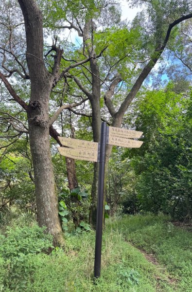 桃園五酒桶步道走南崁山-五酒桶山-山鼻山-獅仔頭山2848118