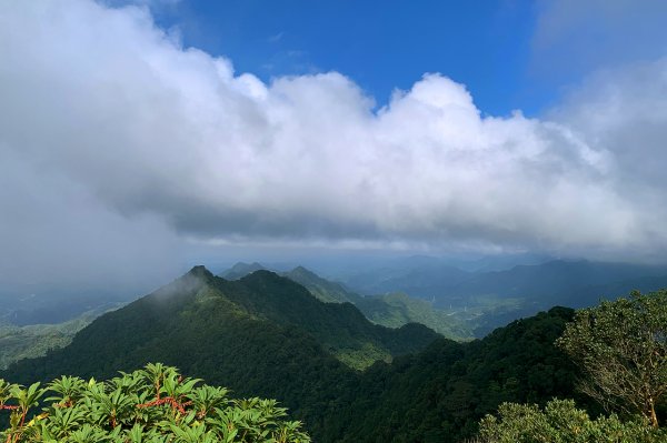 苗栗獅潭｜仙山登山步道｜穿過杉木小徑．遠眺綿延山峰1574413