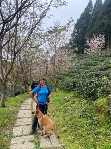 鵝公髻山（小百岳）鵝公髻山東北峰2449881