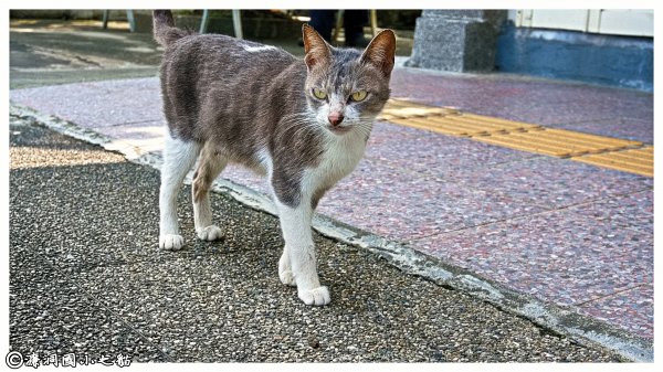 雷霆峰&勇士岩1355153