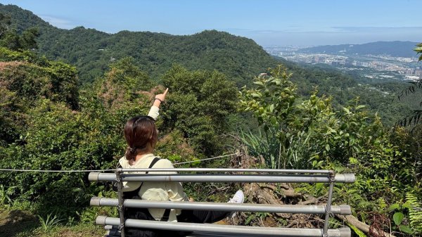 土城文筆山2803701