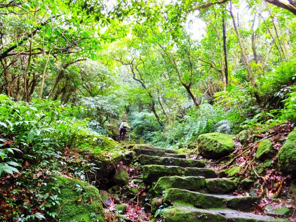 頂山石梯嶺步道270110