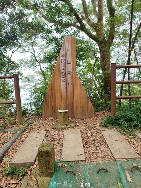 【嘉義竹崎】說好的稜線風景呢。阿拔泉山稜線步道連走獨立山O繞2684141