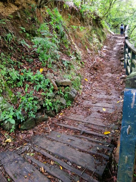 信義~悠然古道處處迷人八通關雲龍瀑布步道972819