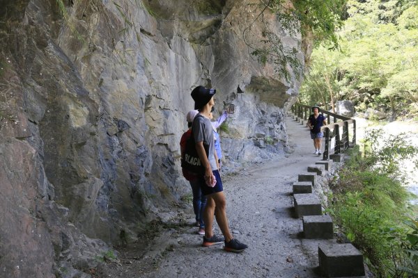 1090801 -小錐麓步道、砂卡噹步道1054866