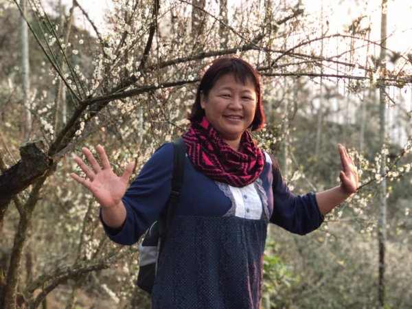 竹子尖山到獵鷹山473250