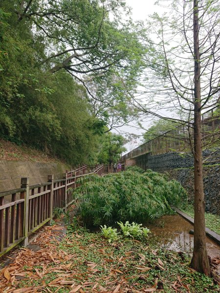 功維敘隧道-貓狸山公園2754519