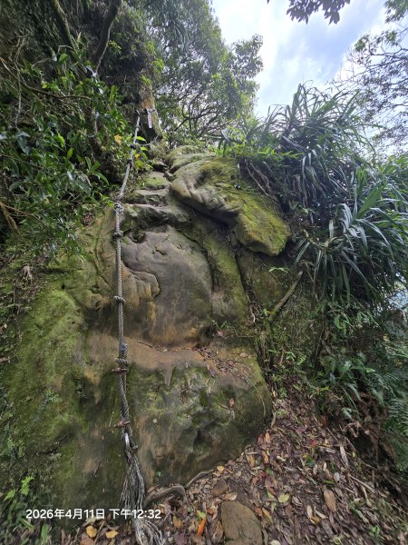 2026-04-11微笑山線：【二格山系】筆架連峰段3034601