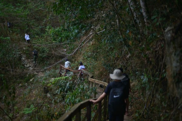 馬崙山步道2085807